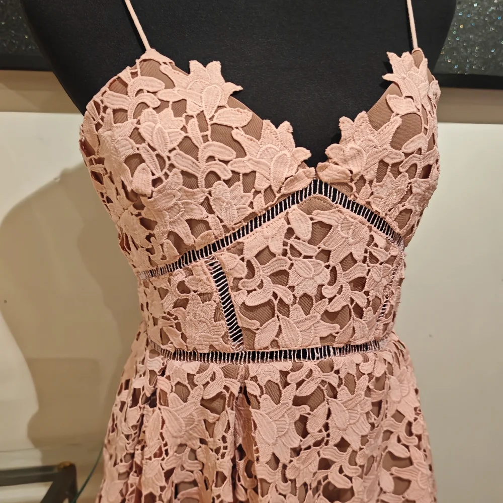 Self-Portrait Blush Pink Lace Midi Dress - Picture 10 of 16